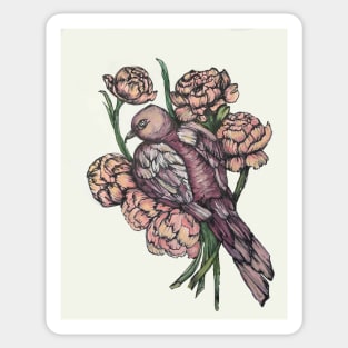 Mauve Dove and Blush Peonies Sticker